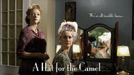 A Hat For The Camel