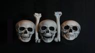 Skulls and Xbones