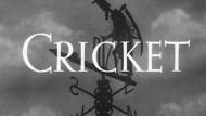 Cricket thumbnail