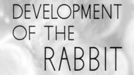 Development of the Rabbit thumbnail