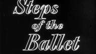 Steps of the Ballet thumbnail