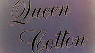 Queen Cotton thumbnail
